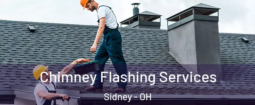 Chimney Flashing Services Sidney - OH