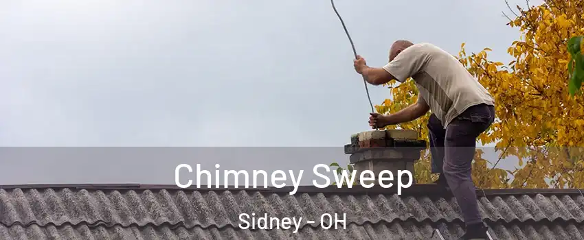  Chimney Sweep Sidney - OH
