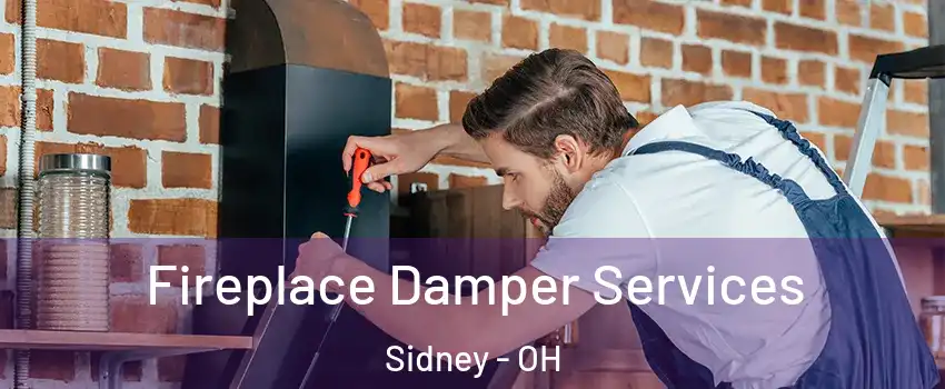  Fireplace Damper Services Sidney - OH