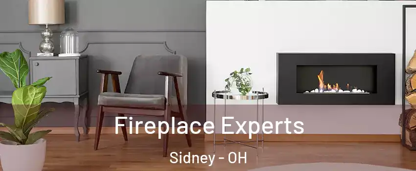  Fireplace Experts Sidney - OH