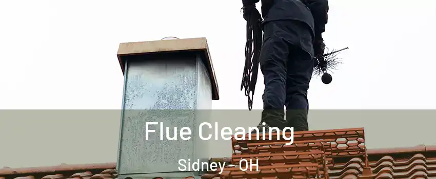  Flue Cleaning Sidney - OH