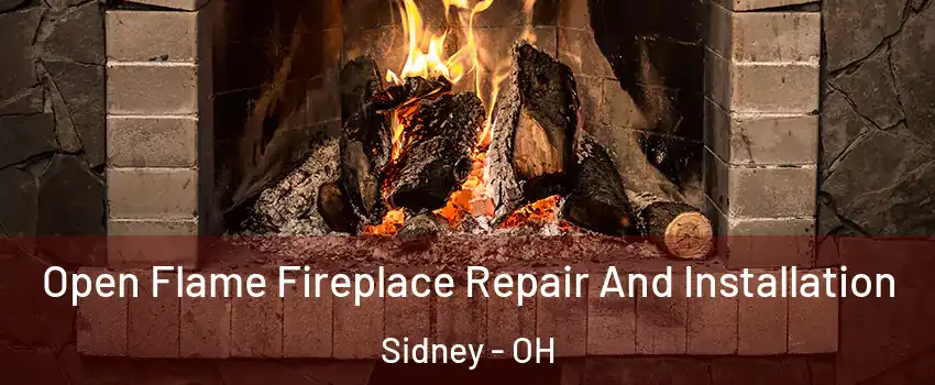  Open Flame Fireplace Repair And Installation Sidney - OH